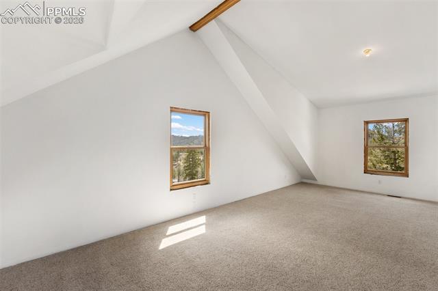 MLS Image for 392  Brooks  ,Woodland Park, Colorado