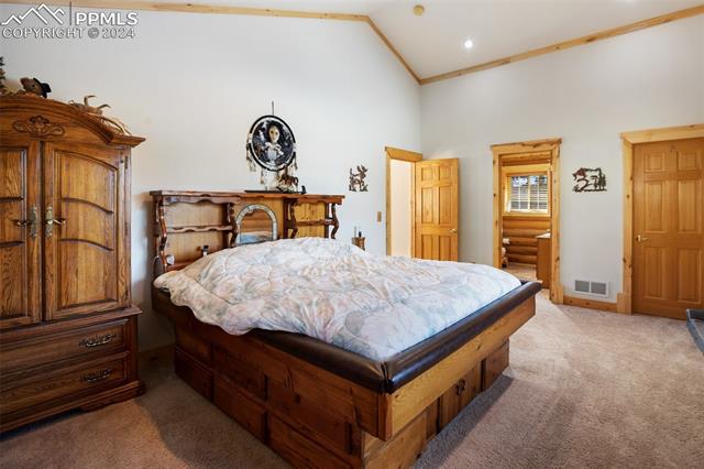 MLS Image for 73  Big Horn  ,Florissant, Colorado