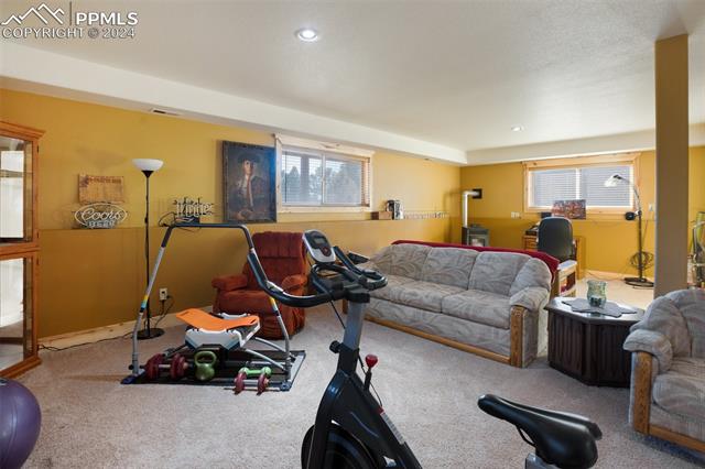 MLS Image for 73  Big Horn  ,Florissant, Colorado