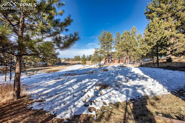 MLS Image for 73  Big Horn  ,Florissant, Colorado