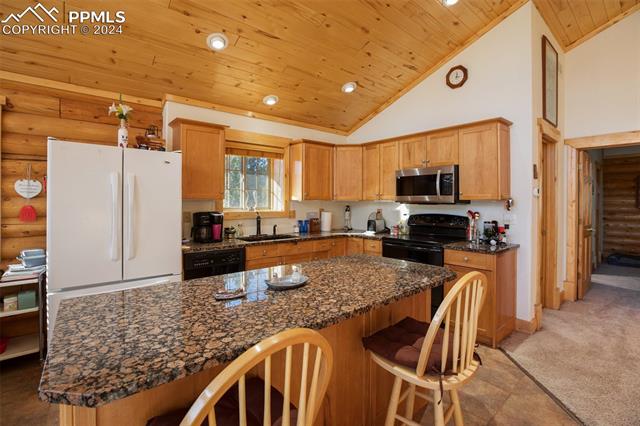 MLS Image for 73  Big Horn  ,Florissant, Colorado