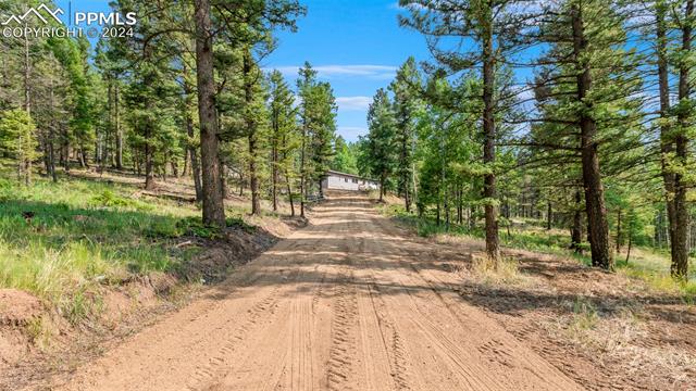 MLS Image for 900  Beaver Creek  ,Florissant, Colorado