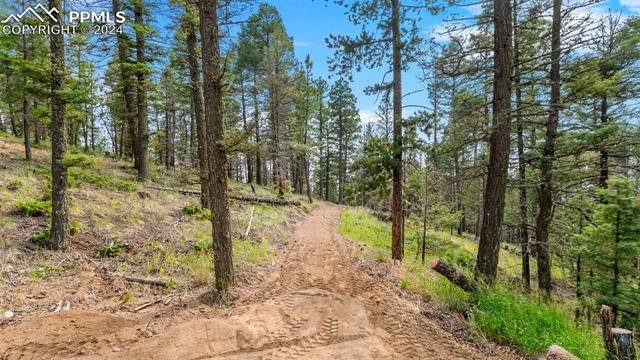 MLS Image for 900  Beaver Creek  ,Florissant, Colorado