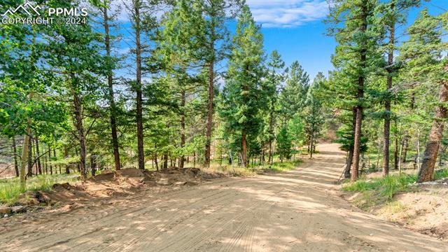 MLS Image for 900  Beaver Creek  ,Florissant, Colorado