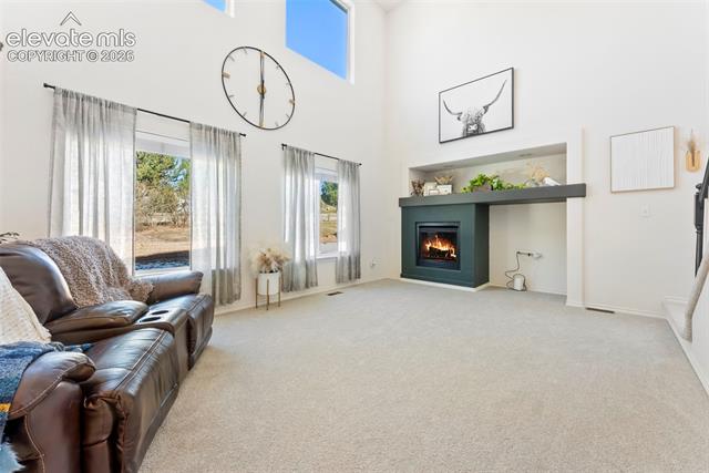 MLS Image for 1442  Lookout Springs  ,Colorado Springs, Colorado