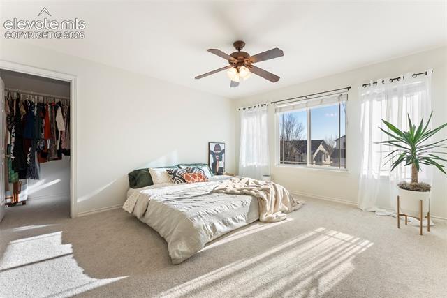 MLS Image for 1442  Lookout Springs  ,Colorado Springs, Colorado