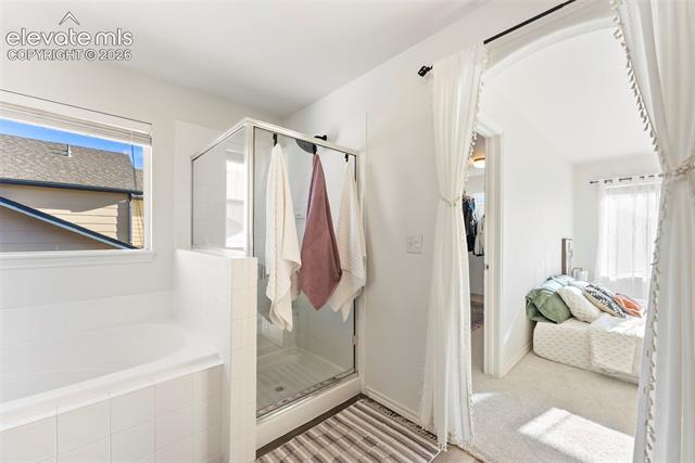MLS Image for 1442  Lookout Springs  ,Colorado Springs, Colorado
