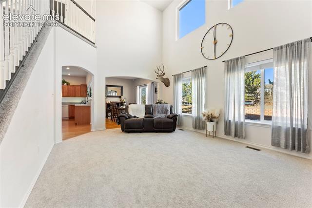 MLS Image for 1442  Lookout Springs  ,Colorado Springs, Colorado