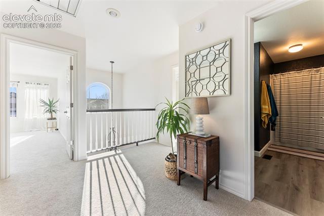 MLS Image for 1442  Lookout Springs  ,Colorado Springs, Colorado