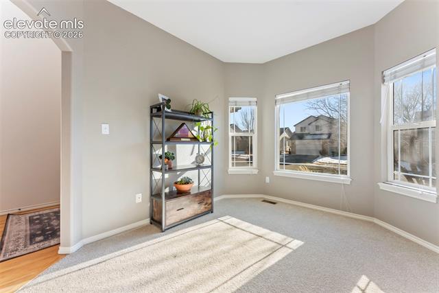 MLS Image for 1442  Lookout Springs  ,Colorado Springs, Colorado