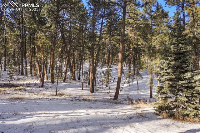 MLS Image for 7190  Mathews  ,Colorado Springs, Colorado