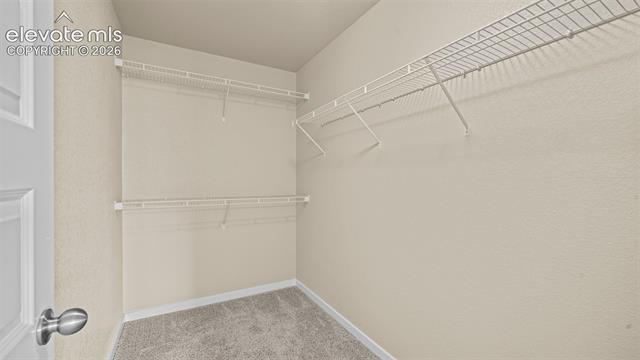 MLS Image for 6520  Edmondstown  ,Colorado Springs, Colorado
