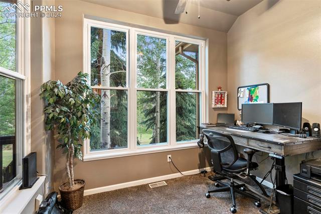 MLS Image for 1000  Sun Valley  ,Woodland Park, Colorado