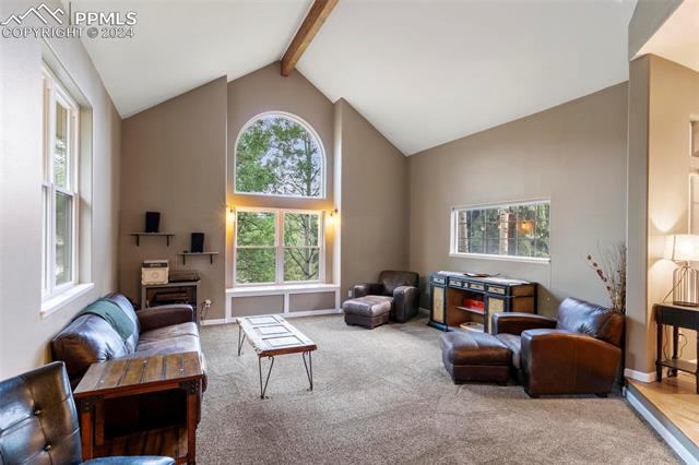 MLS Image for 1000  Sun Valley  ,Woodland Park, Colorado