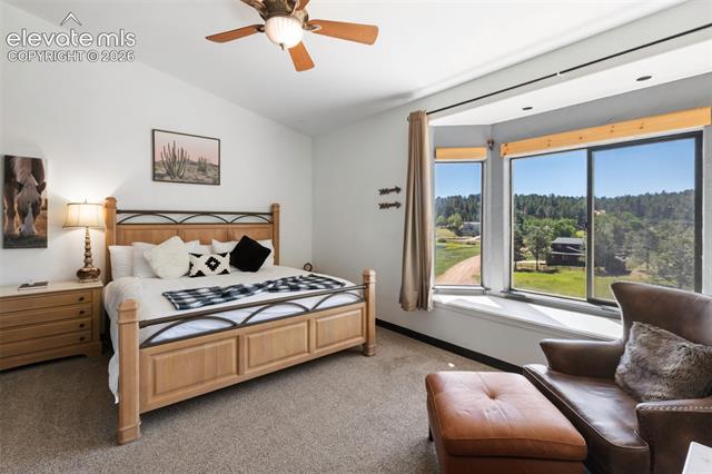 MLS Image for 243  Lakewood  ,Woodland Park, Colorado