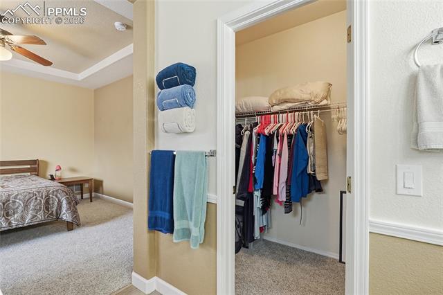MLS Image for 6642  Glowing Valley  ,Colorado Springs, Colorado