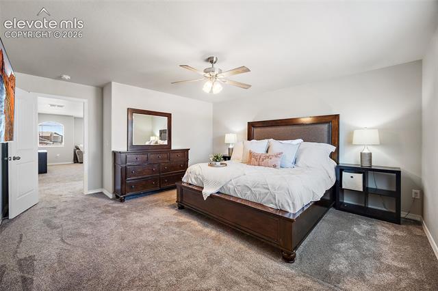 MLS Image for 10815  Lavanya  ,Fountain, Colorado