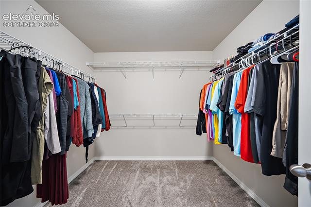 MLS Image for 10815  Lavanya  ,Fountain, Colorado