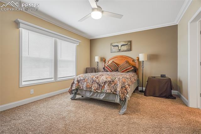MLS Image for 7443  Little Chief  ,Fountain, Colorado