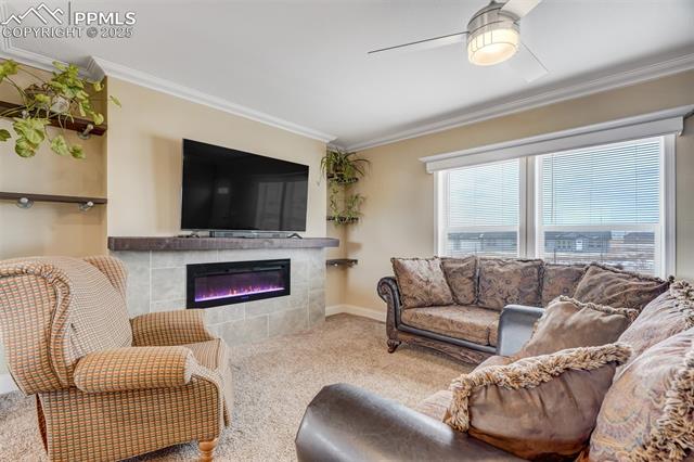 MLS Image for 7443  Little Chief  ,Fountain, Colorado