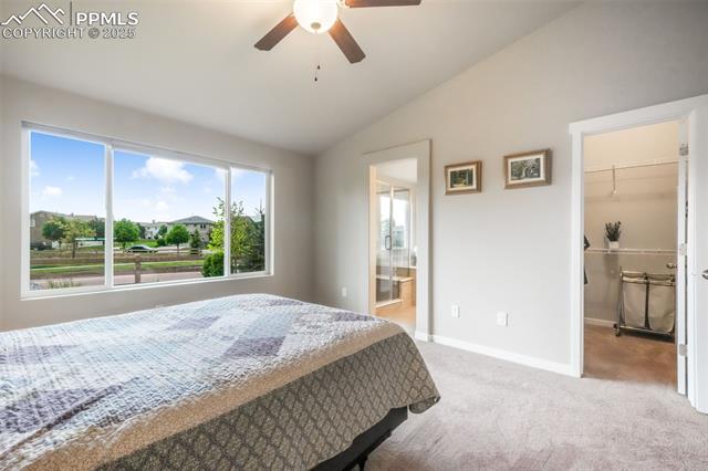 MLS Image for 6015  Trappers Tale  ,Colorado Springs, Colorado