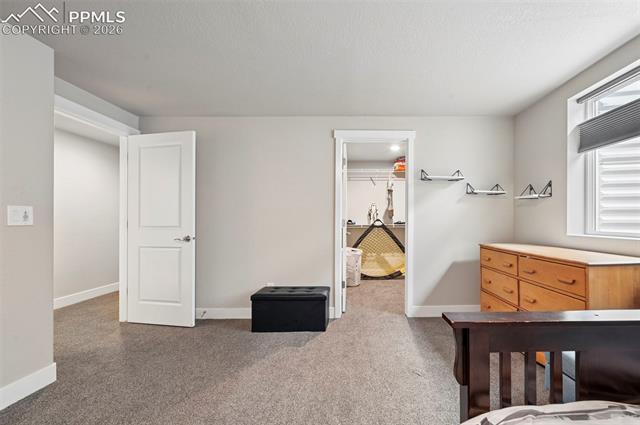 MLS Image for 2272  Cabernet  ,Colorado Springs, Colorado