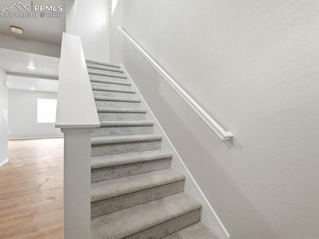 MLS Image for 11403  Pikeminnow  ,Colorado Springs, Colorado