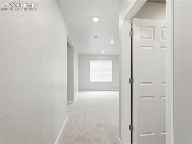 MLS Image for 11403  Pikeminnow  ,Colorado Springs, Colorado