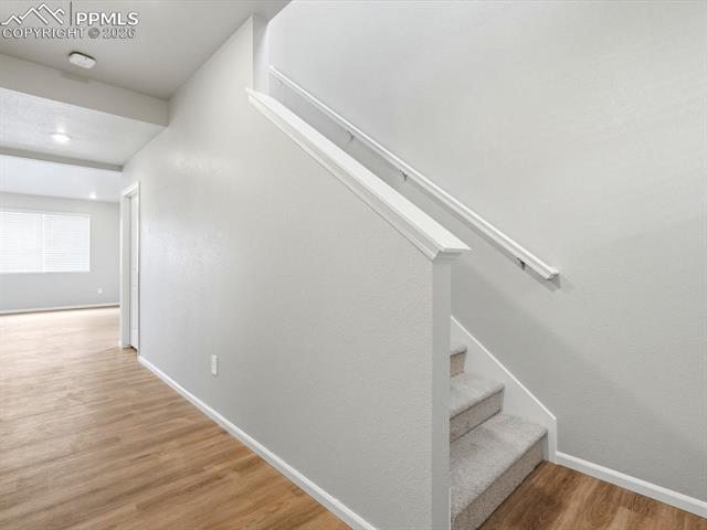 MLS Image for 11403  Pikeminnow  ,Colorado Springs, Colorado