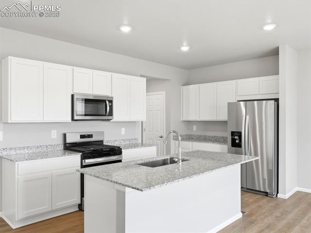 MLS Image for 11403  Pikeminnow  ,Colorado Springs, Colorado