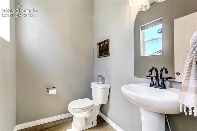 MLS Image for 7664  Alpine Daisy  ,Colorado Springs, Colorado