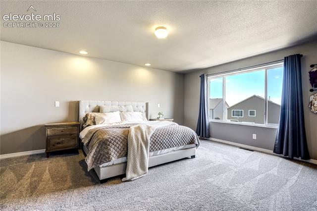 MLS Image for 7664  Alpine Daisy  ,Colorado Springs, Colorado