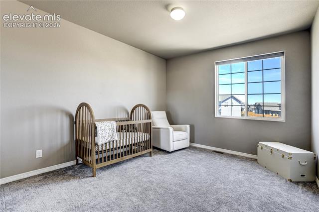 MLS Image for 7664  Alpine Daisy  ,Colorado Springs, Colorado