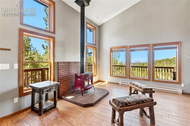 MLS Image for 265  Homestead  ,Divide, Colorado