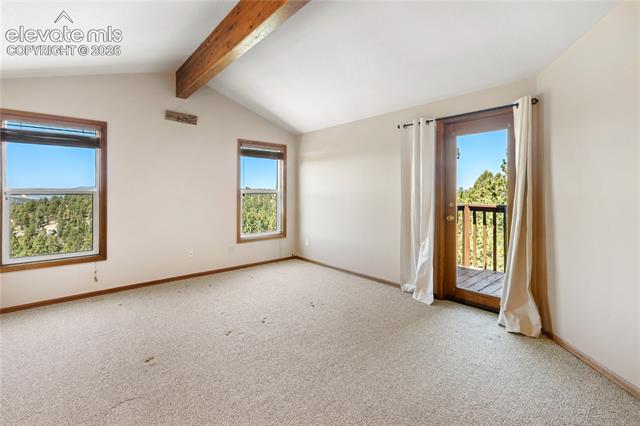 MLS Image for 265  Homestead  ,Divide, Colorado