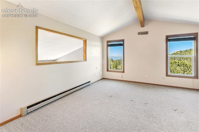 MLS Image for 265  Homestead  ,Divide, Colorado