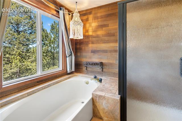 MLS Image for 265  Homestead  ,Divide, Colorado