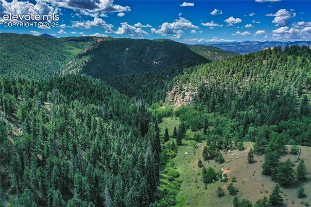MLS Image for 265  Homestead  ,Divide, Colorado