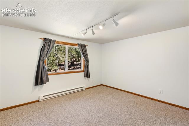 MLS Image for 265  Homestead  ,Divide, Colorado