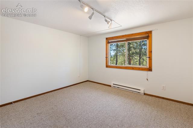 MLS Image for 265  Homestead  ,Divide, Colorado