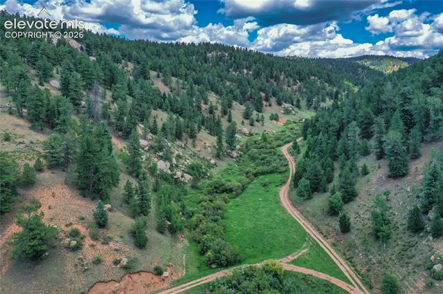 MLS Image for 265  Homestead  ,Divide, Colorado
