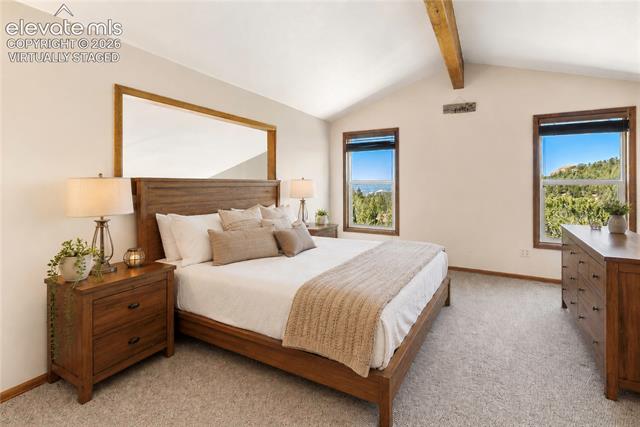 MLS Image for 265  Homestead  ,Divide, Colorado