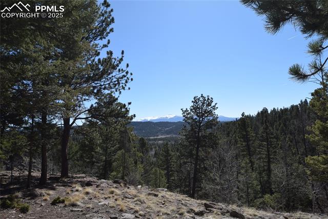 MLS Image for 78  Powderhorn  ,Florissant, Colorado