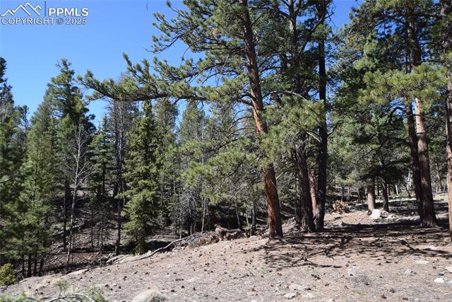 MLS Image for 78  Powderhorn  ,Florissant, Colorado