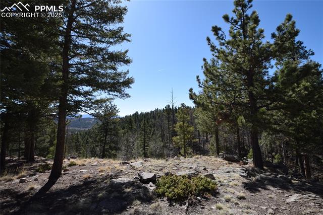 MLS Image for 78  Powderhorn  ,Florissant, Colorado
