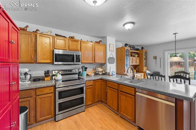 MLS Image for 6130  Plowshare  ,Colorado Springs, Colorado