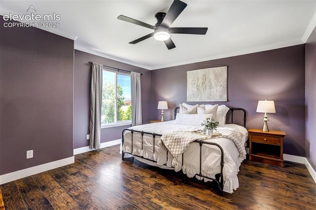 MLS Image for 6040  Bow River  ,Colorado Springs, Colorado