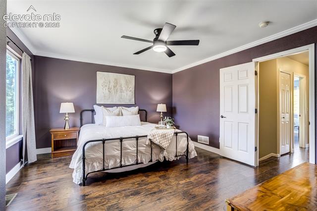 MLS Image for 6040  Bow River  ,Colorado Springs, Colorado