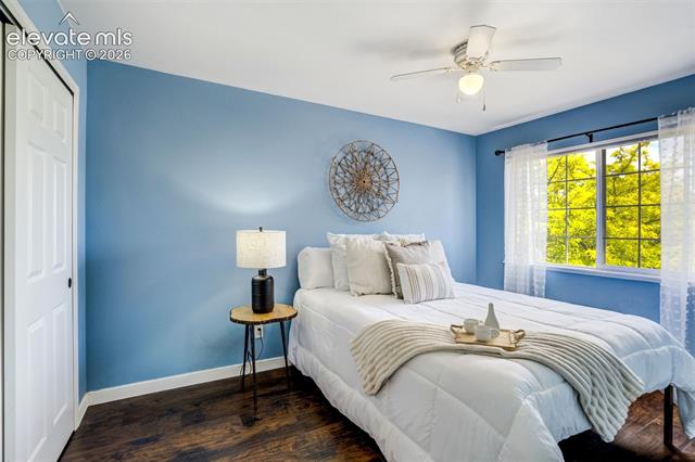 MLS Image for 6040  Bow River  ,Colorado Springs, Colorado