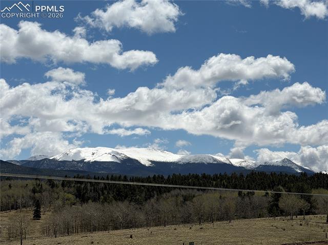 MLS Image for 538  Friar Tuck  ,Divide, Colorado